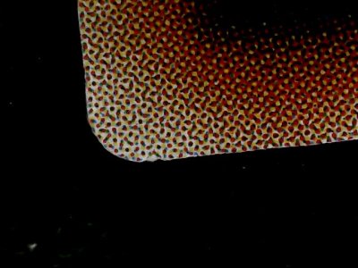 SN34539