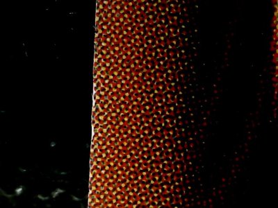 SN34539