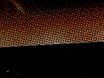 SN34540