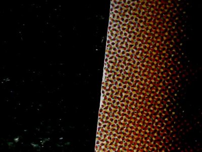 SN34563