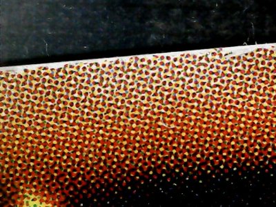SN34565