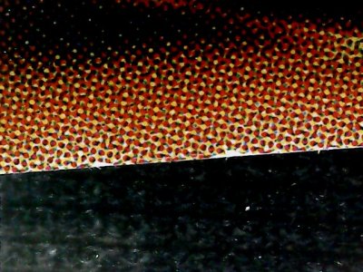SN34565