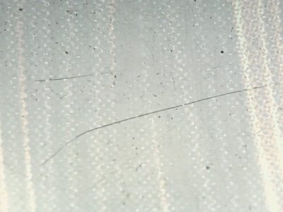 SN34567