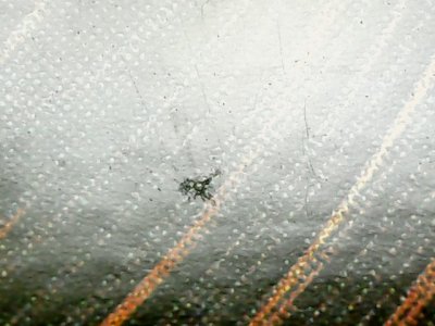 SN34569