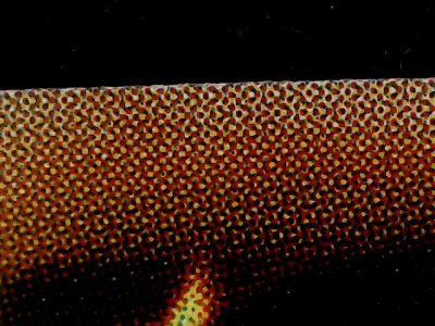 SN34570