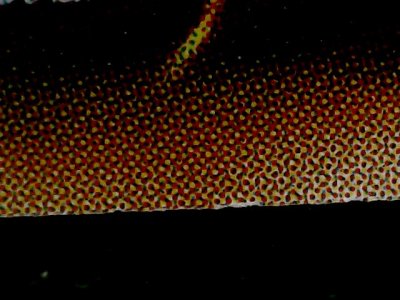 SN34570