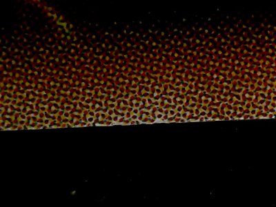 SN34576