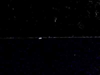 SN34607