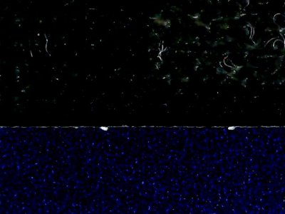 SN34620