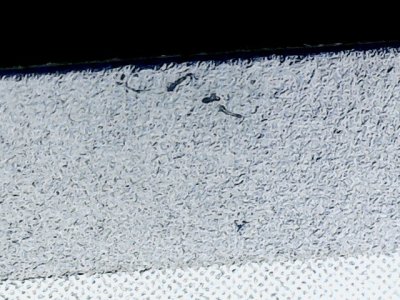 SN34788