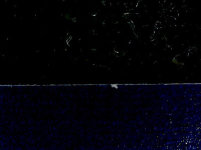 SN34792