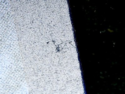 SN34794