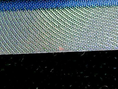 SN34803