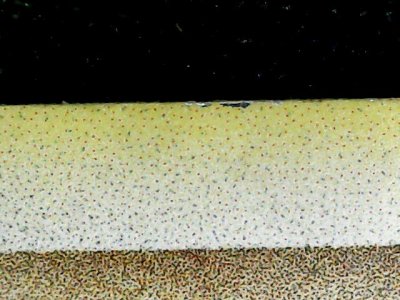 SN34806