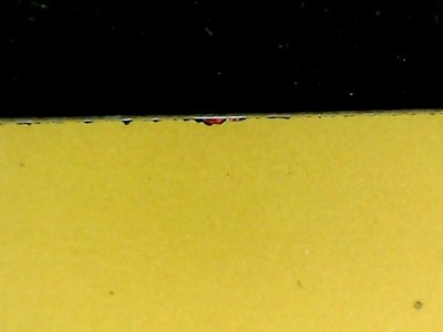 SN34808