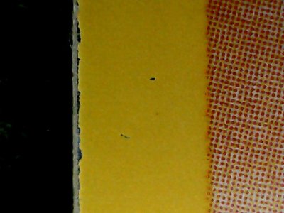 SN34807