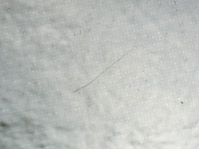 SN38429