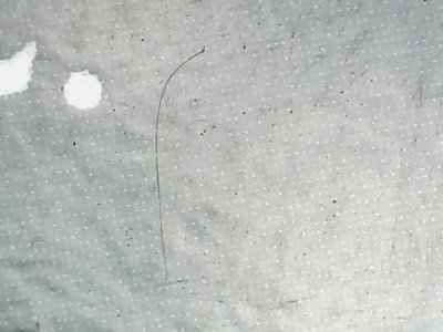 SN38429