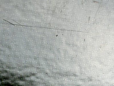 SN38429