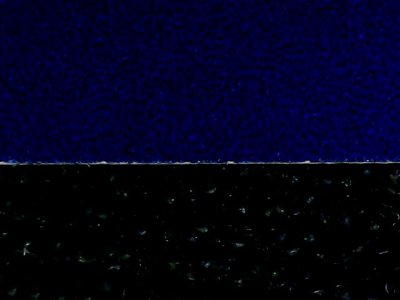 SN34880