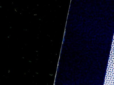 SN34880