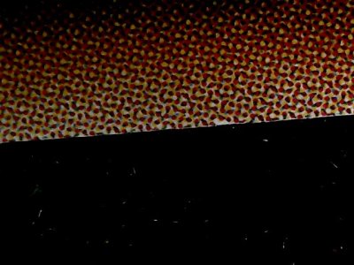 SN34905