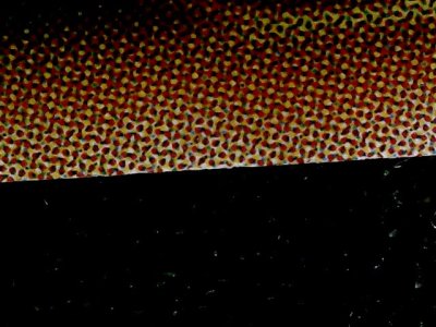 SN34908