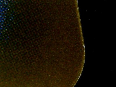 SN34954