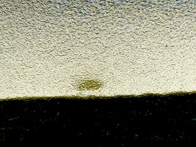 SN34954