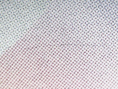 SN34956