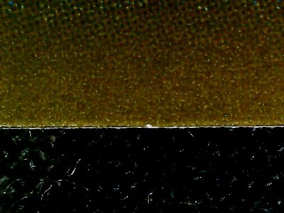 SN34964