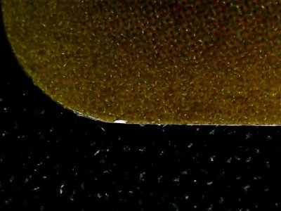 SN34972