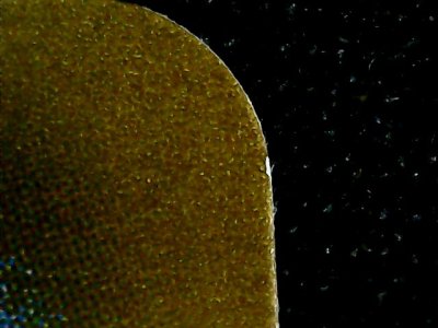 SN34972