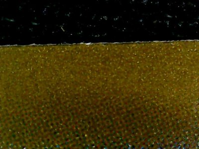 SN34973