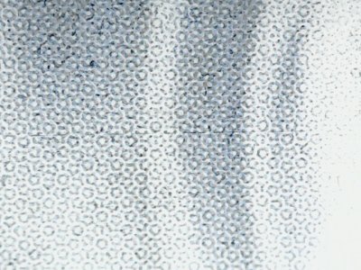 SN35035