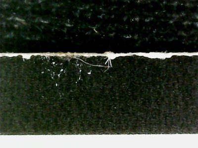 SN35039