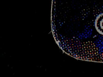 SN35039