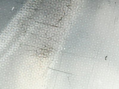 SN35116