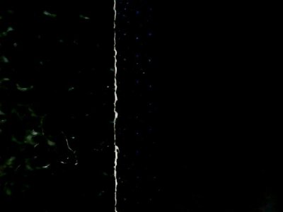 SN35118