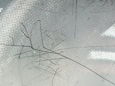SN35119