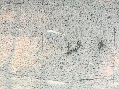 SN35123