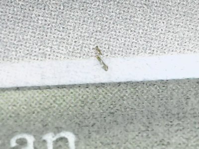 SN35125