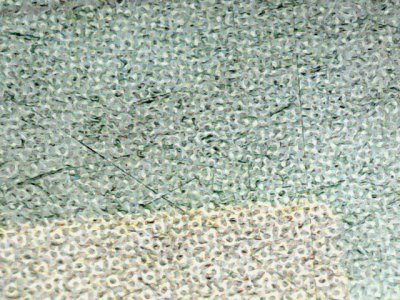 SN35127