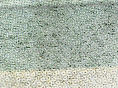 SN35127