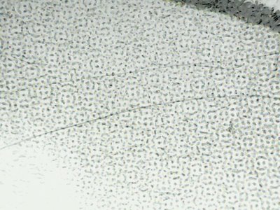 SN35139