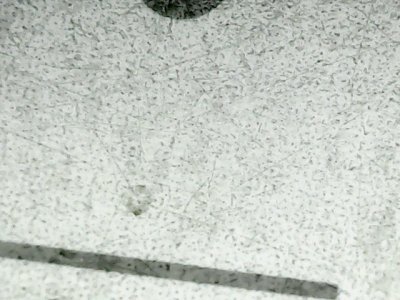 SN35155