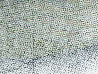 SN35155