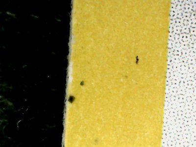 SN35155
