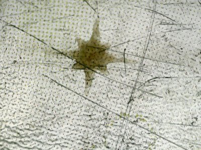 SN35156