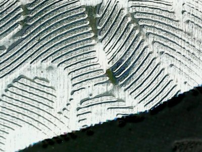 SN35205